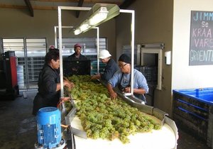  Wynuitstappie Duisend